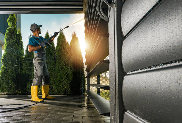 Best Fleet Vehicle Washing  in Linden, MI