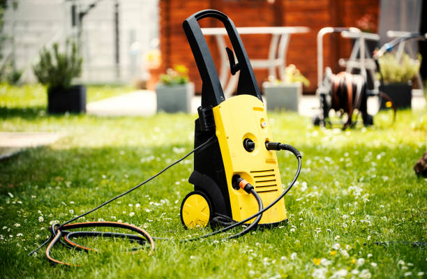 Best Sidewalk and Walkway Cleaning  in Linden, MI